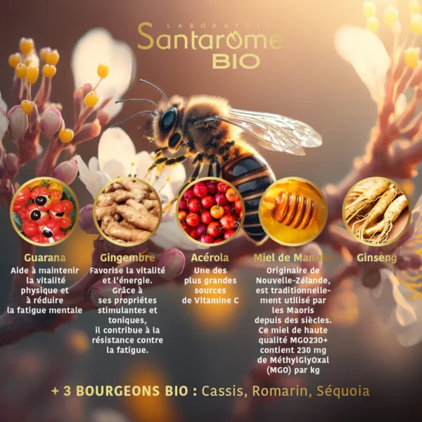 Arapska medicina Zagreb – hidžama, rukja i akupunktura - dr. Sherif Askar